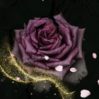 avatar of O S Feathers