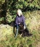 avatar of Susan Stephens