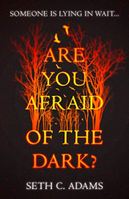 book cover of Are You Afraid of the Dark?