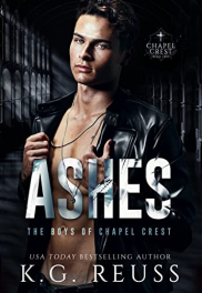 book cover of Ashes