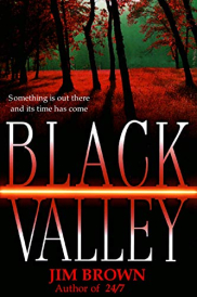 poster Black Valley