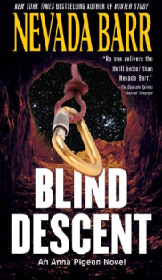 book cover of Blind Descent