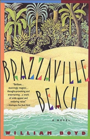 book cover of Brazzaville Beach