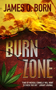 book cover of Burn Zone