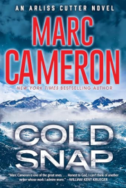 cover of Cold Snap