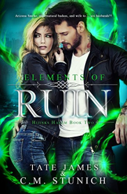 book cover of Elements of Ruin