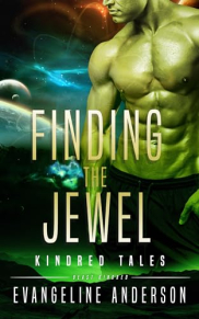 book cover of Finding the Jewel