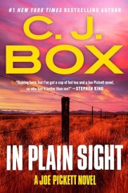 book cover of In Plain Sight