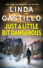 book cover of Just a Little Bit Dangerous