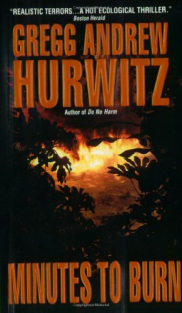 book cover of Minutes to Burn