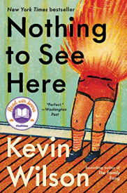 book cover of Nothing to See Here