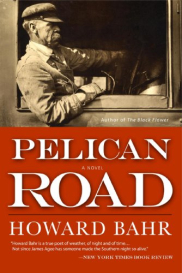 book cover of Pelican Road