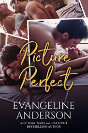 book cover of Picture Perfect