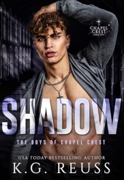 book cover of Shadow