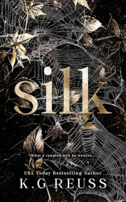 book cover of Silk