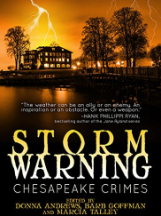 book cover of Storm Warning
