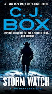 book cover of Storm Watch