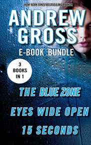 book cover of The Andrew Gross Thriller