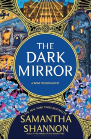 book cover of The Dark Mirror