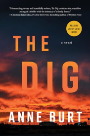 book cover of The Dig
