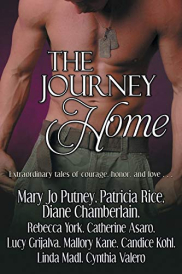 book cover of The Journey Home