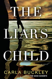 book cover of The Liar's Child