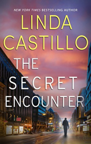 book cover of The Secret Encounter