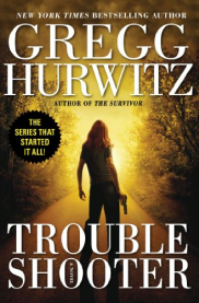 book cover of Troubleshooter