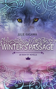 book cover of Winter's Passage