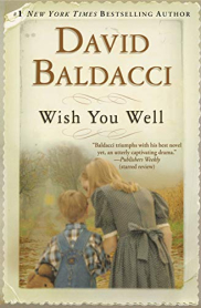 book cover of Wish You Well